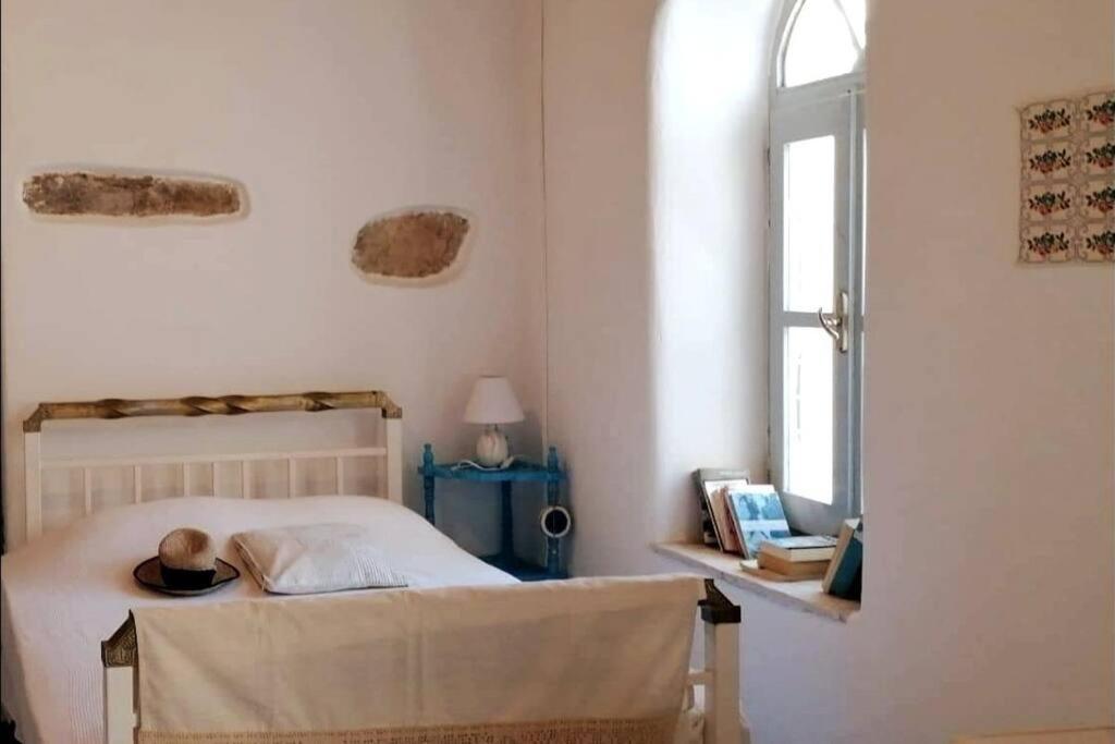 Naxos Mountain Retreat - Tiny House Build On Rock Apartment Koronos Exterior photo
